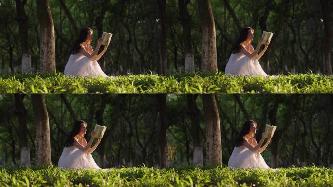 女孩在草地上看书的唯美画面