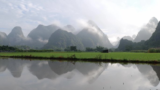 绿水青山美丽乡村稻苗秧苗春耕倒影