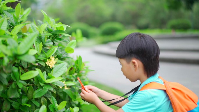 小孩放大镜观察花朵