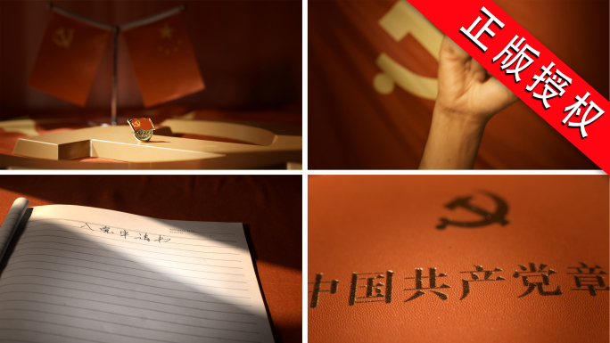 党建党旗党徽党政七一党建片头党政红色片头