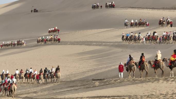 沙漠骆驼游客