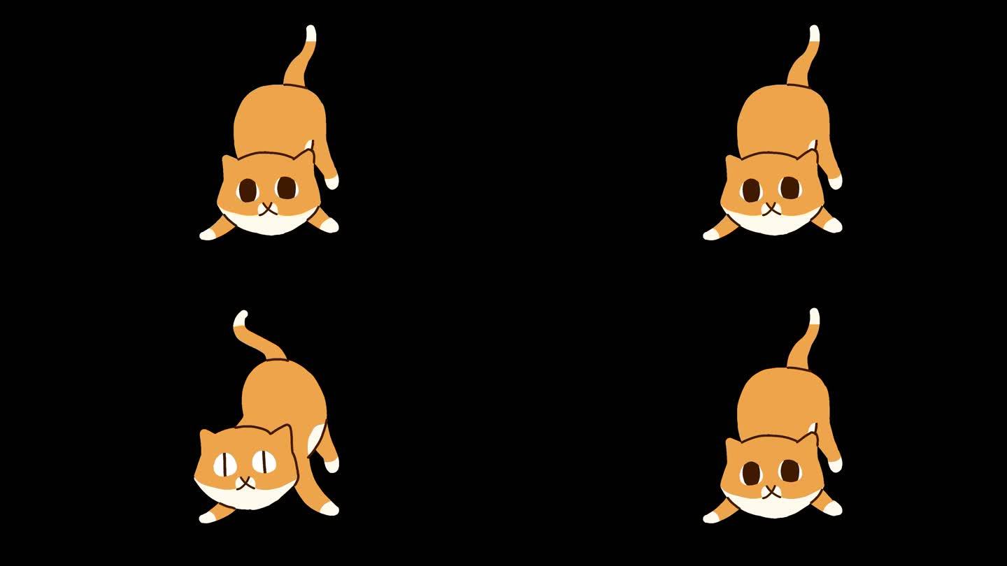 小猫动画4