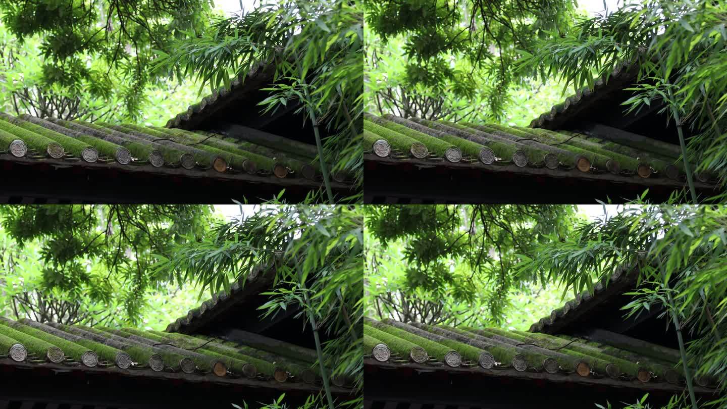 中国广东岭南庭院建筑风光空镜头