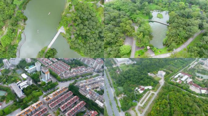 阳江市东阳区城市绿化航拍01