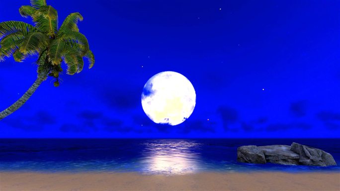 椰树海边沙滩礁石-夜景