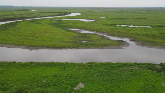 黑龙江双鸭山 挠力河湿地公园 4K航拍