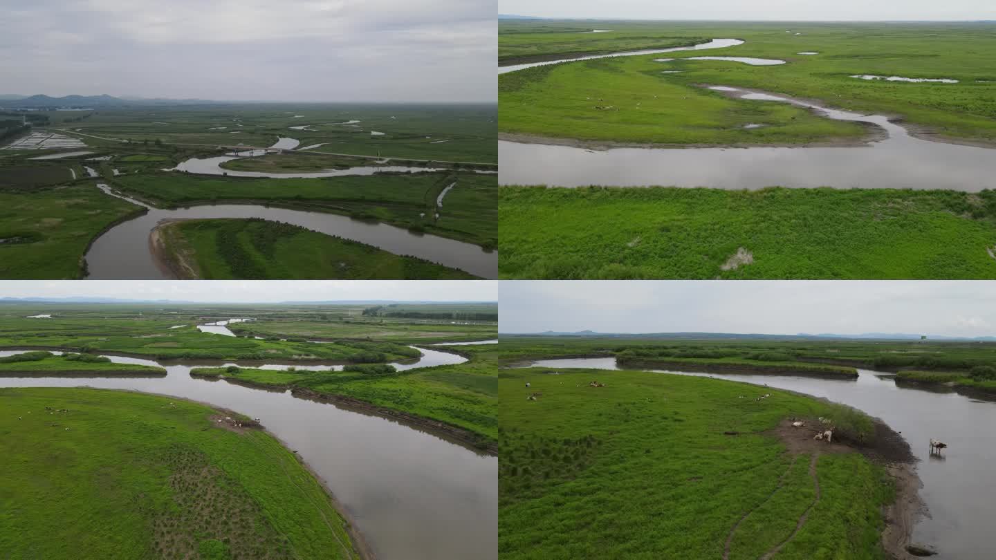 黑龙江双鸭山 挠力河湿地公园 4K航拍