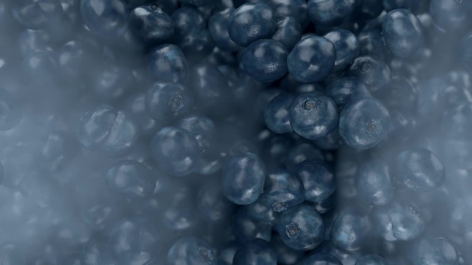 蓝莓冷气锁鲜