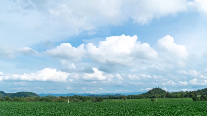 自然风景湿地公园