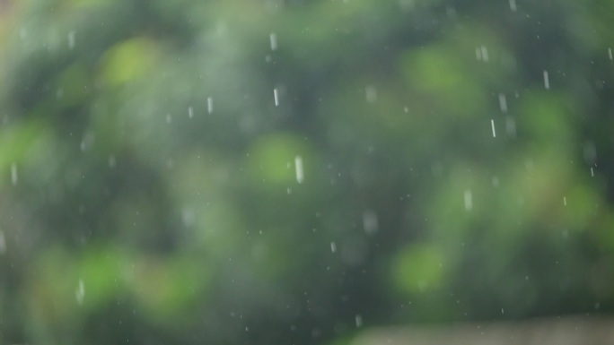 下雨啦绿色春天春雨雨纷纷清明时节雨纷纷