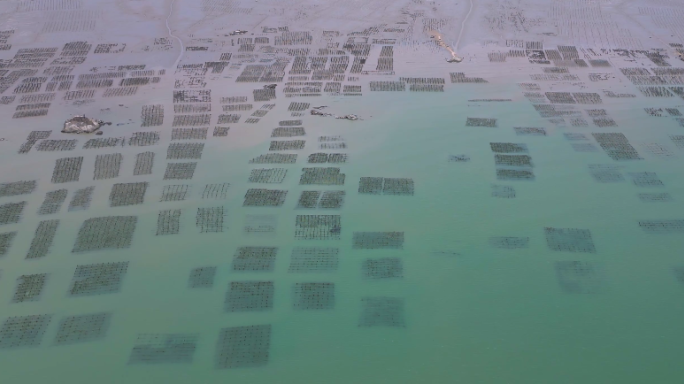 水产养殖 海蛎养殖场