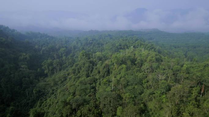 热带雨林航拍 穿越山峰