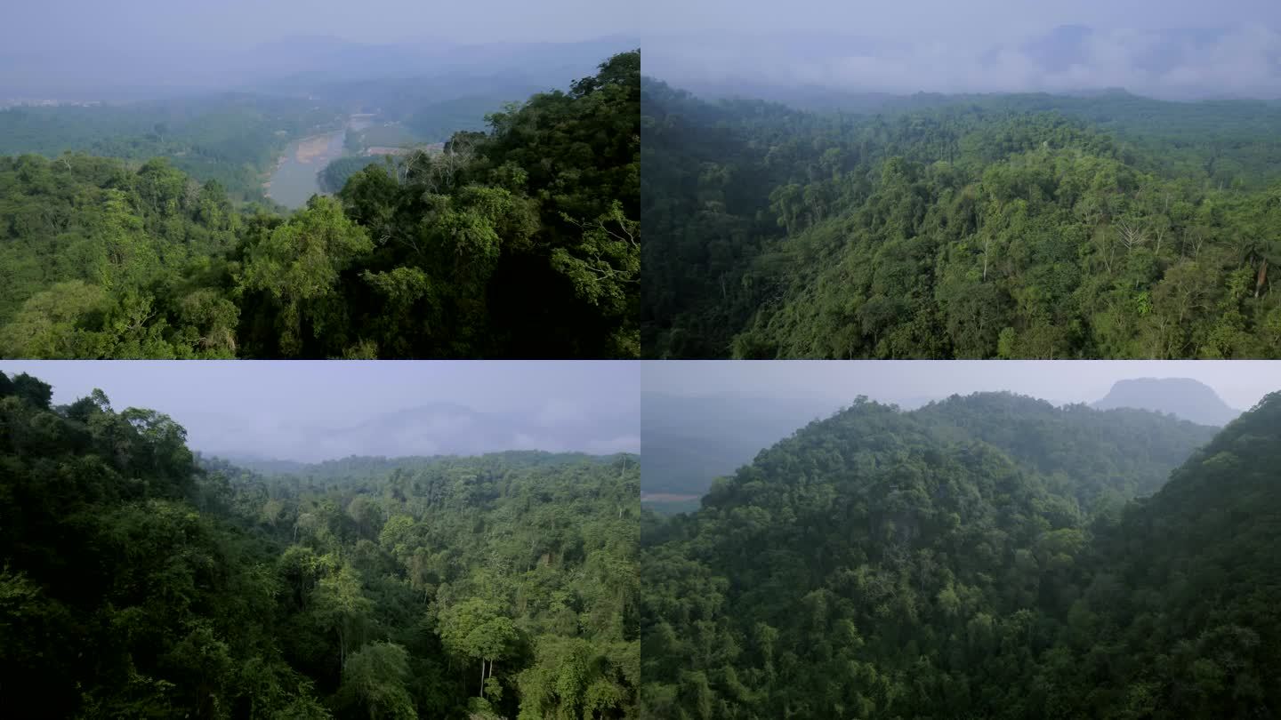 热带雨林航拍 穿越山峰
