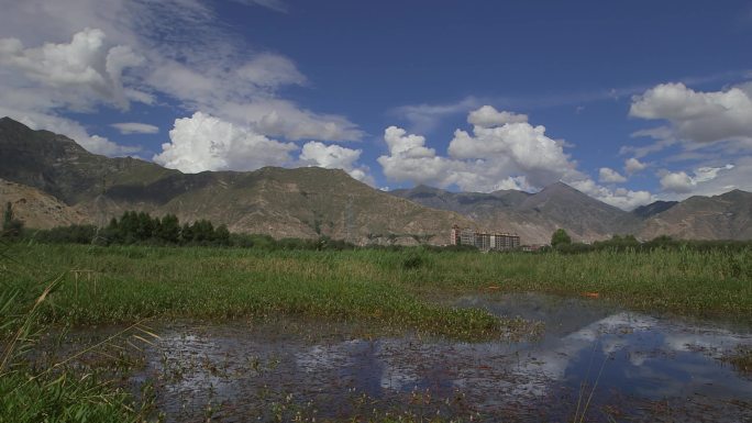 A1拉鲁湿地微风摇曳、国家级自然保护区