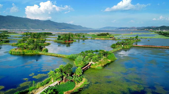 异龙湖湿地 生态湿地 湿地公园 绿色生态