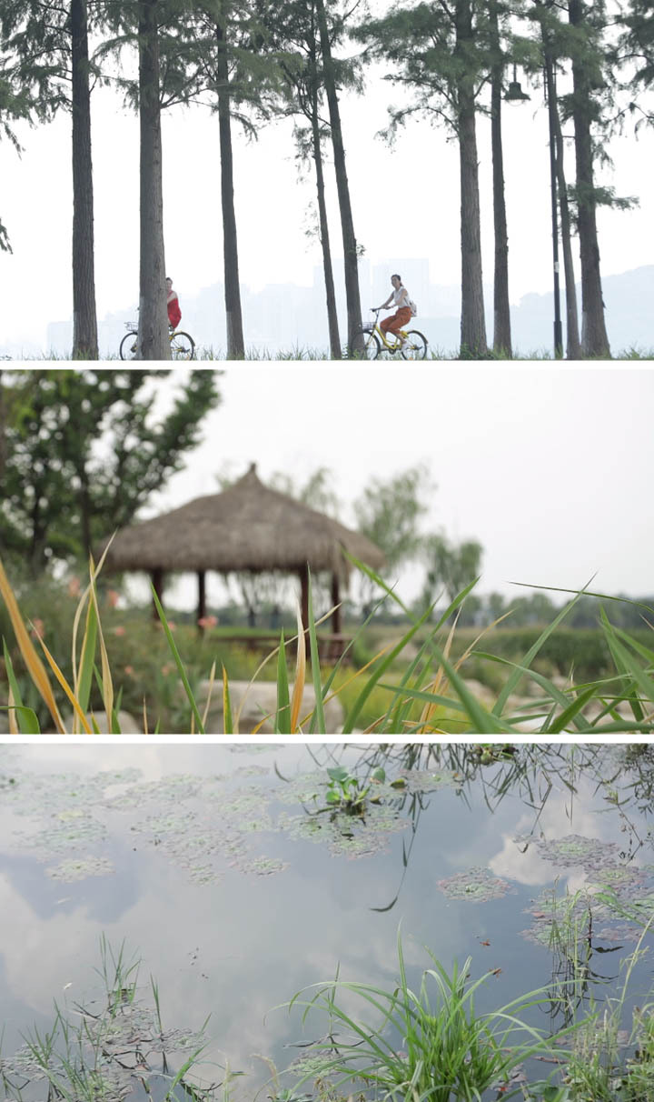 武汉东湖风景区合集 通用镜头