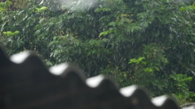 唯美雨天下雨小雨雨丝雨点飘雨