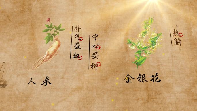 中医药材介绍 草药 中药