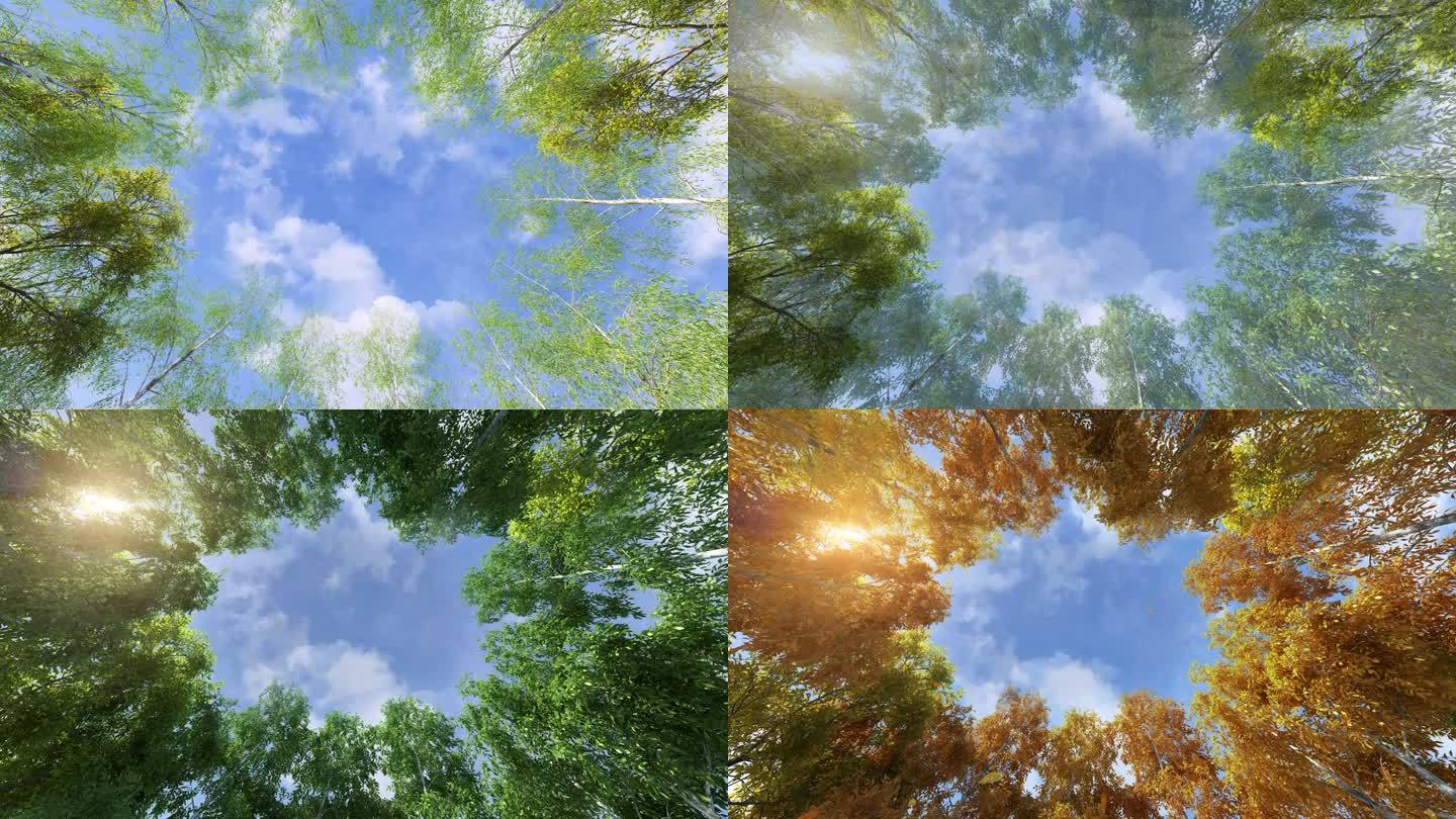 原创写实四季变换，时光流逝，动态树动态天