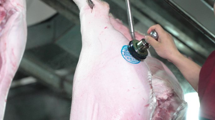 【4K】猪肉生猪肉流水线制作过程