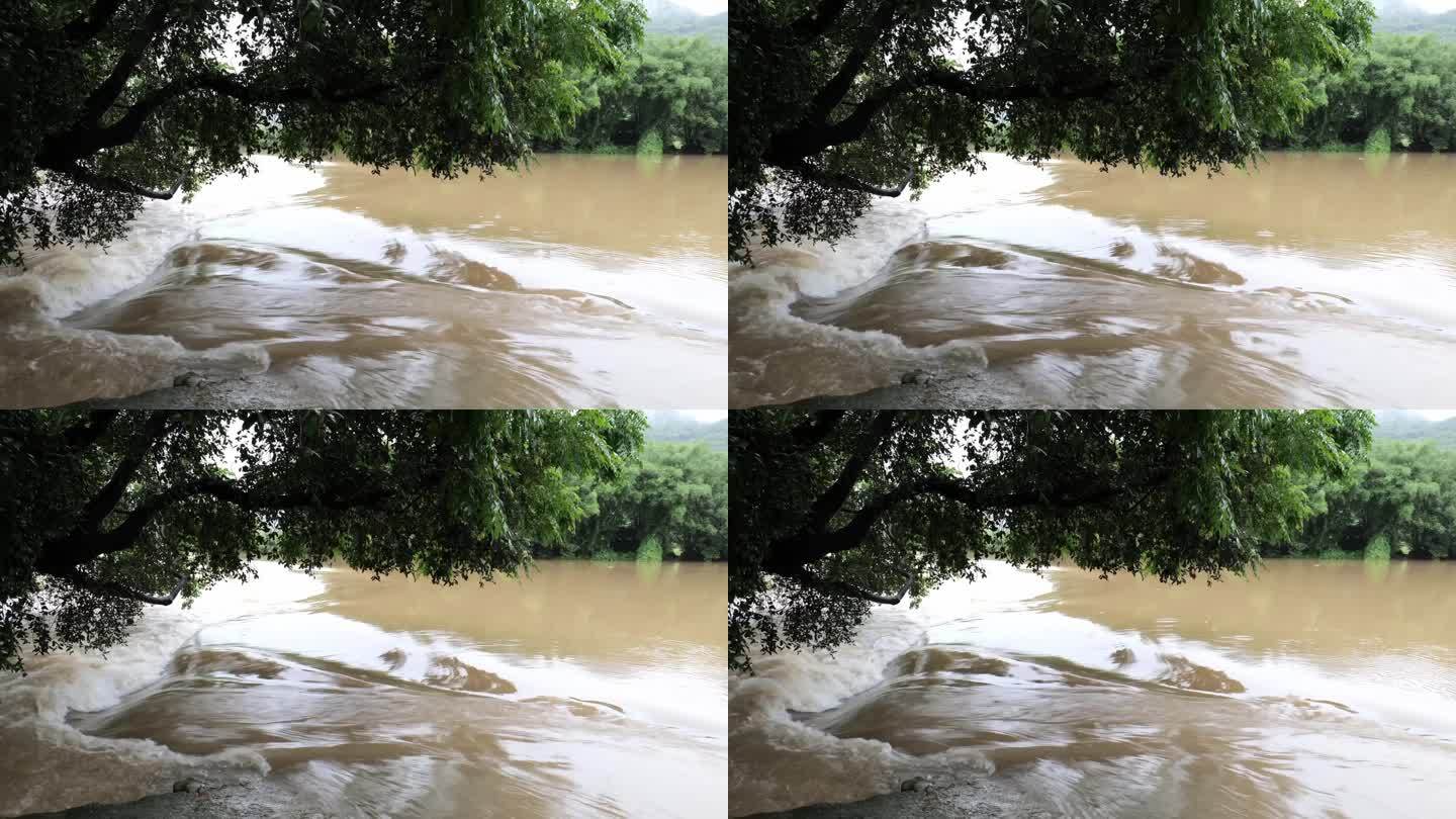 暴雨后河里的洪水急流 洪峰 洪水