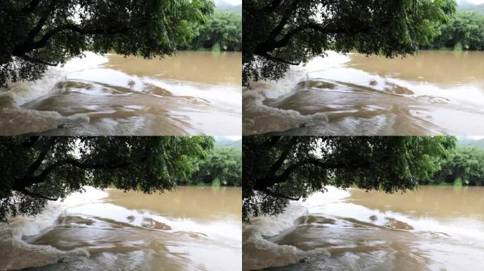 暴雨后河里的洪水急流 洪峰 洪水