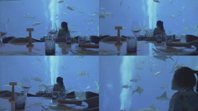 亚特兰蒂斯  海底餐厅