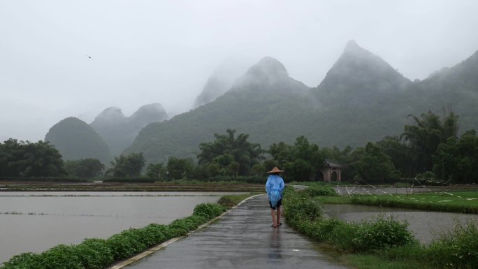 下雨天，一名披着雨衣的农民走在稻田里