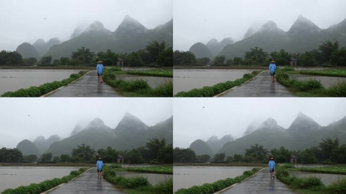 下雨天，一名披着雨衣的农民走在稻田里
