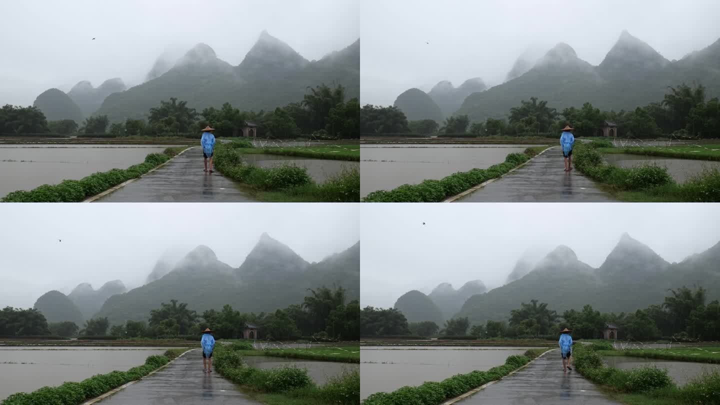 下雨天，一名披着雨衣的农民走在稻田里