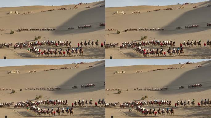 敦煌月牙泉沙漠骆驼