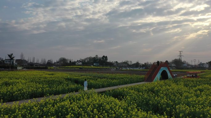 阳光透过云层洒在油菜花田