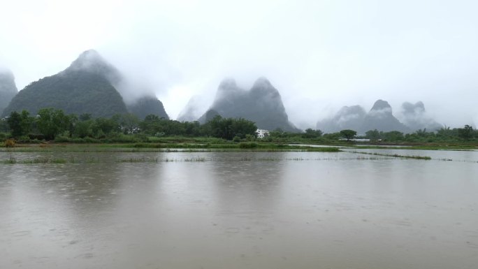 大雨后农田泛滥河水泛滥