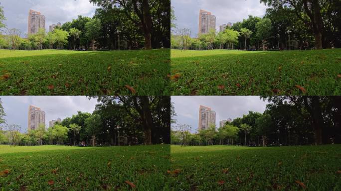 0016_V延时实拍公园草地