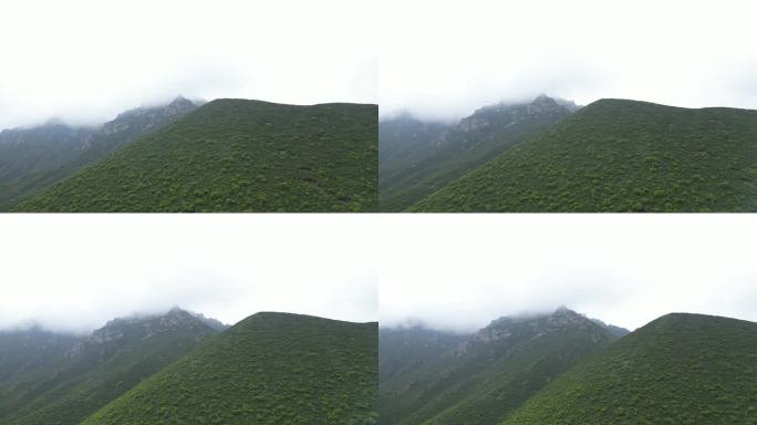 互助 自然风光 景区 旅游 航拍 十二盘