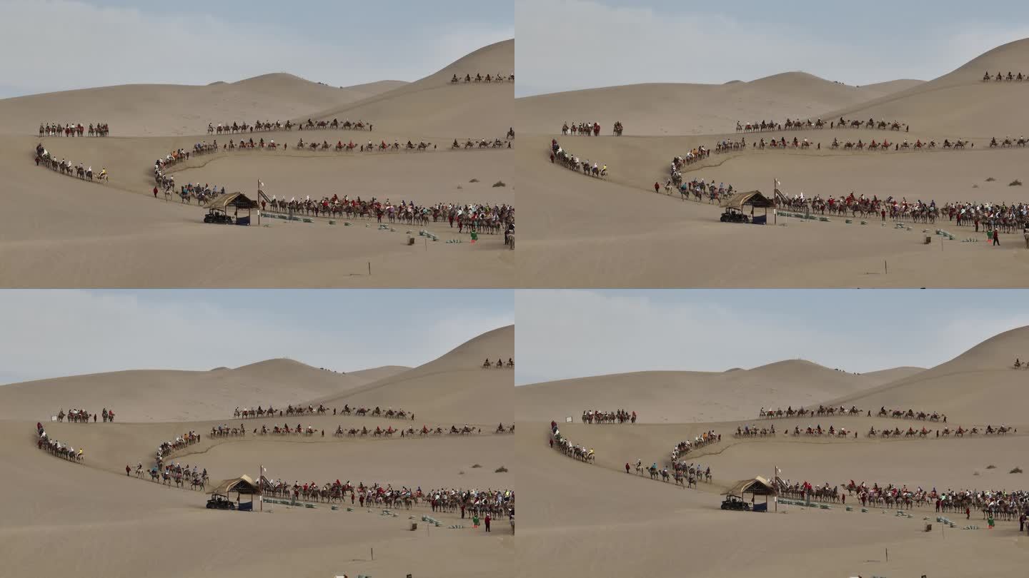 月牙泉沙漠骆驼游客