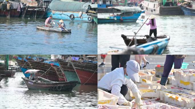 港口码头渔民渔船市场