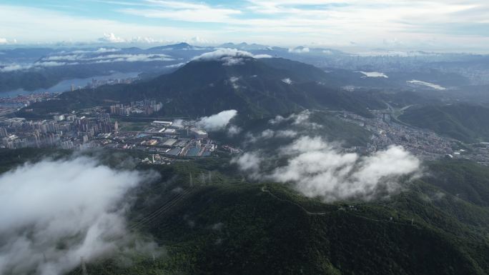 深圳全景  深圳梧桐山 深圳盐田区