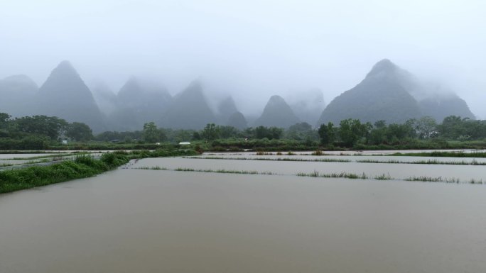大雨后农田泛滥河水泛滥