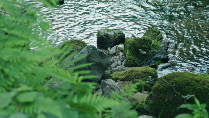 小溪河流瀑布