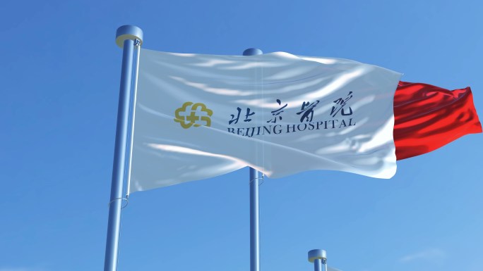 北京医院旗帜