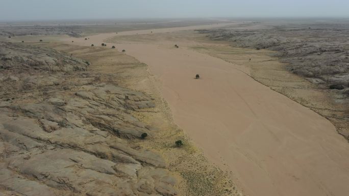 气候 环境 干旱 戈壁 沙漠 榆树 河床