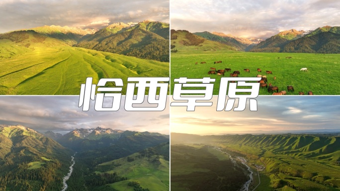 新疆伊犁 恰西草原 自然风光 旅行 马群