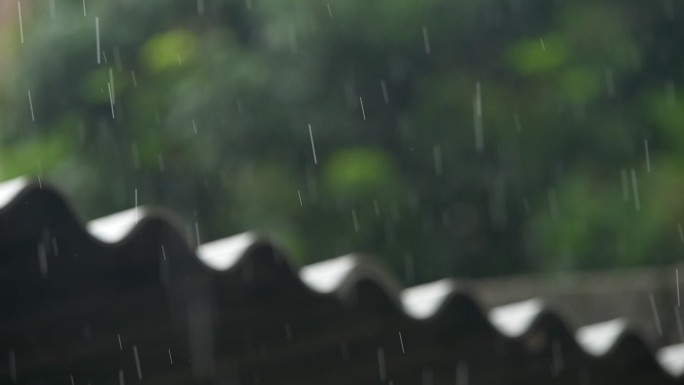 雨天视频