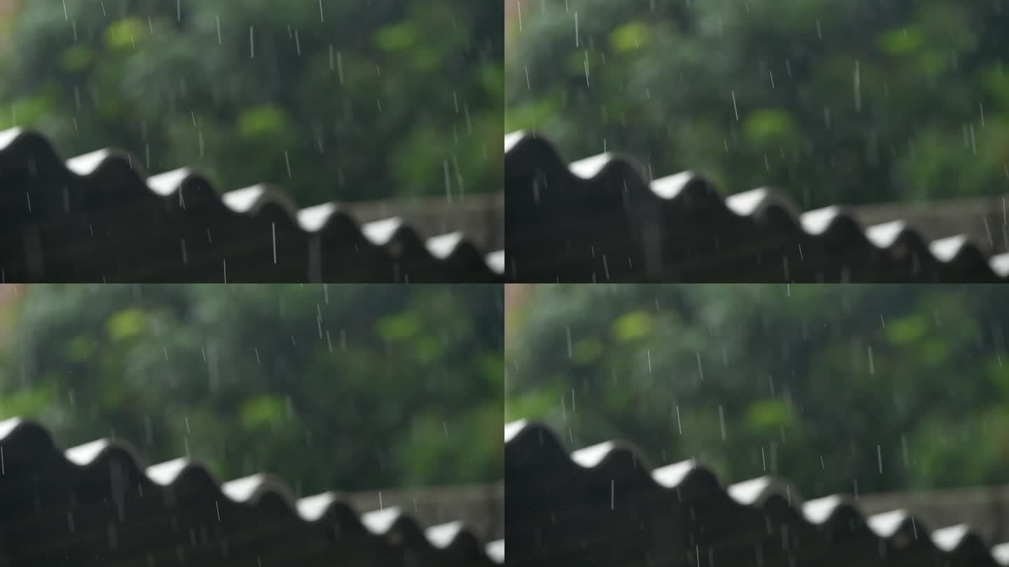 雨天视频