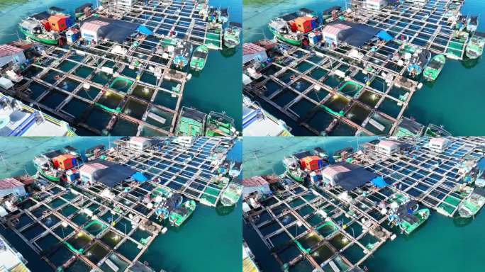 4K海南陵水疍家渔排最新航拍宣传片