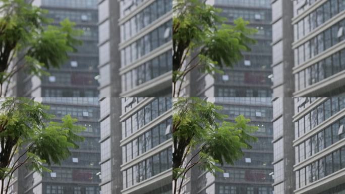 雨天城市