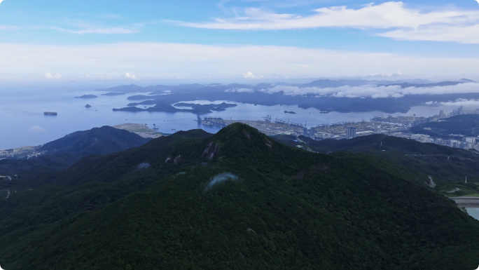 4K航拍深圳盐田港深水港口