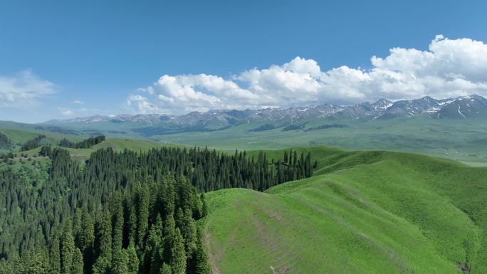 高山森林草原蓝天白云航拍