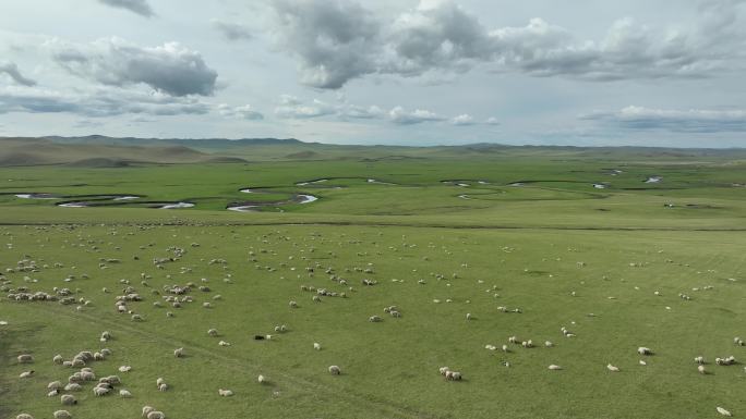 草地羊群河流丘陵山谷
